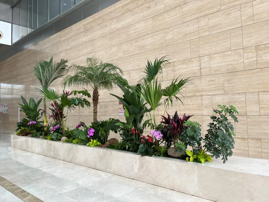 揭秘北仑花木租摆方案，让绿植点亮每一处角落亡